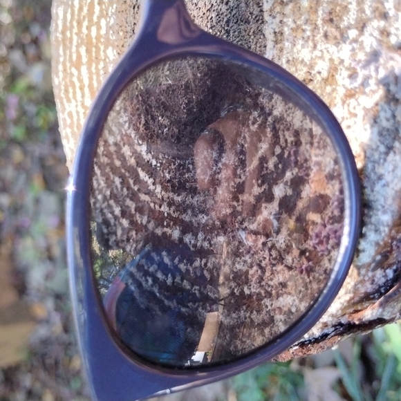 🦋🏵️🦋Sunnies - Picture 7 of 8